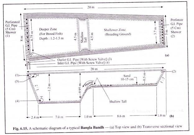 A Schematic Diagram of a Typical Bangla Bandh