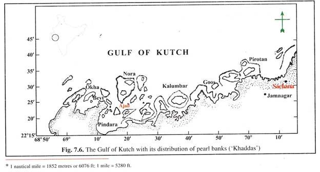 Gulf of Kutch