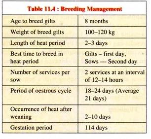 Breeding Management