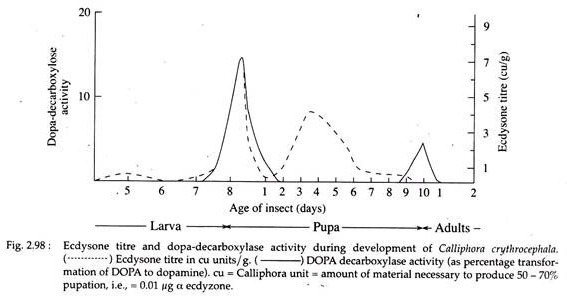 Ecdysone Titre and Dopa-Decarboxylase Activity