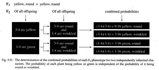 Determination of the Combined Probabilites