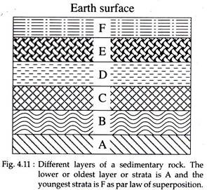 Different Layers of Sedimentary Rock