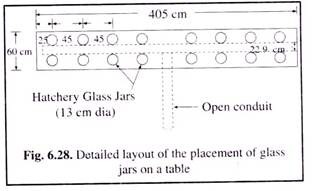Detailed Layout of the Placement of Glass Jars