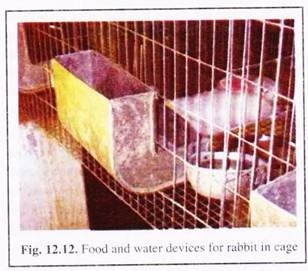 Foods and Water Devices for Rabbit in Cage 