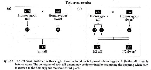 Test Cross