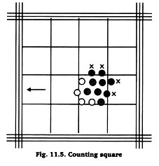 Counting Square