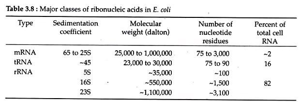 Major classes of Ribonucleic Acids