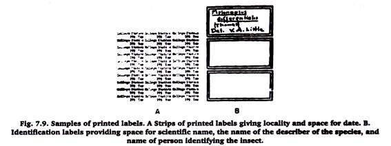 A Sample of printed labels