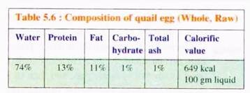 Composition of Quail Egg