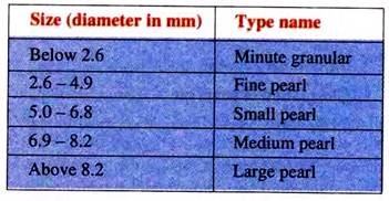 Size and Type Name