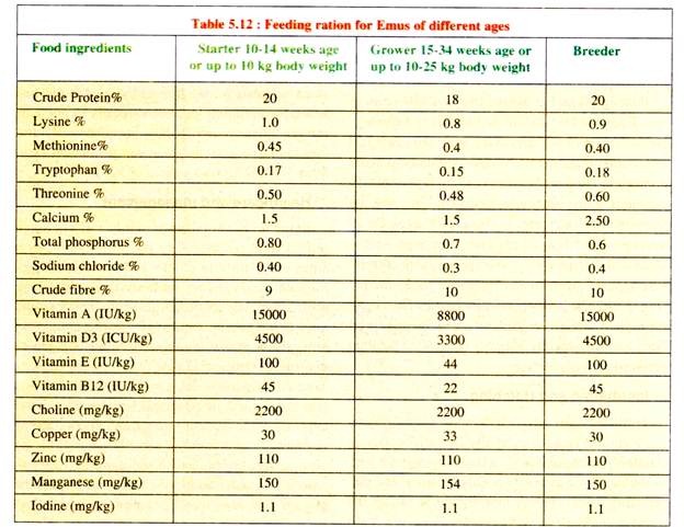 Feeding Ration for Emus