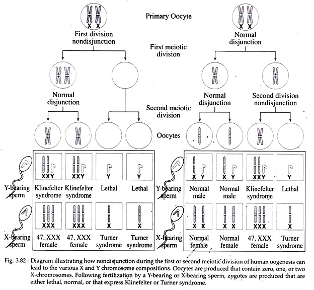 Nondisjunction