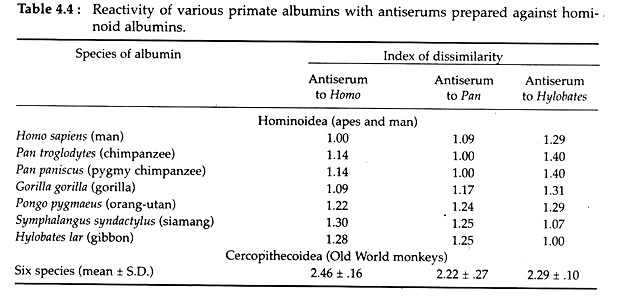Reactivity of Various Primate Albumins