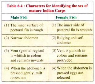 Characters for Identifying the Sex of Mature Indian Carps