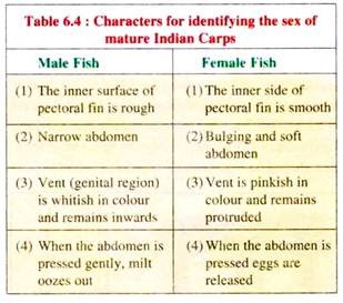 Characters for Identifying the Sex of Mature Indian Carps