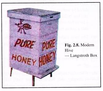 Modern Hive - Langstroth Box