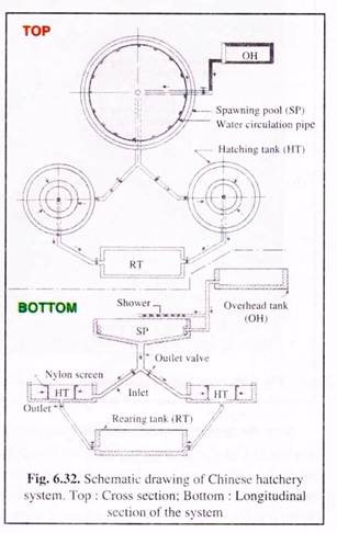 Chinese Hatchery System