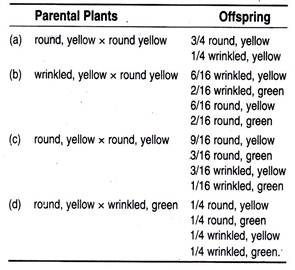 Parental Plants and Offspring