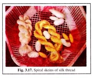 Spiral Skeins of Silk Thread
