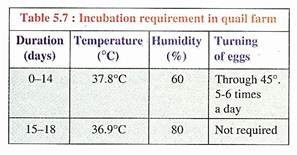 Incubation Requirement in Quail Farm