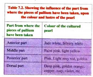 Influence of the Part