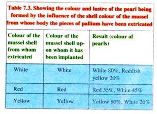 Colour and Lustre