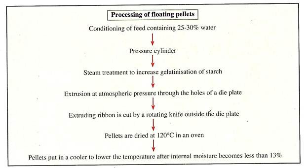 Processing of Floating Pellets