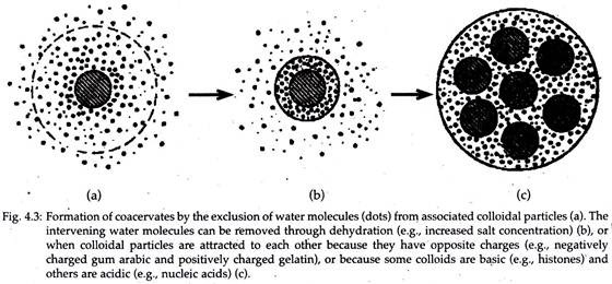 Formation of Coacervates