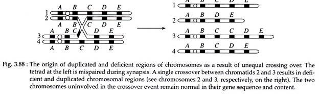 Origin of Duplicated and Deficient Regions