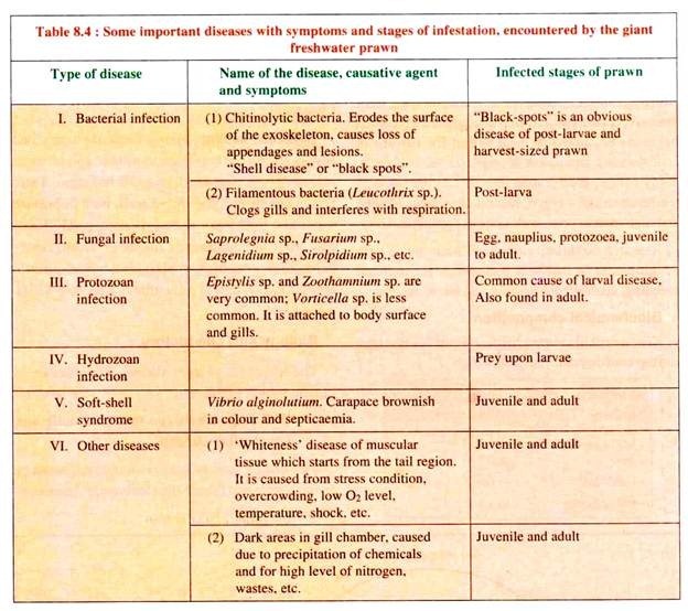 Some Important Diseases with Symptoms and Stages of Indestion, Encountered by the Gaint Freshwater Prawn