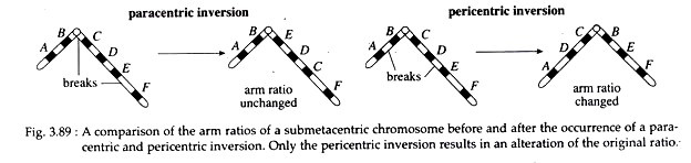 Comparison of the Arm Ratios