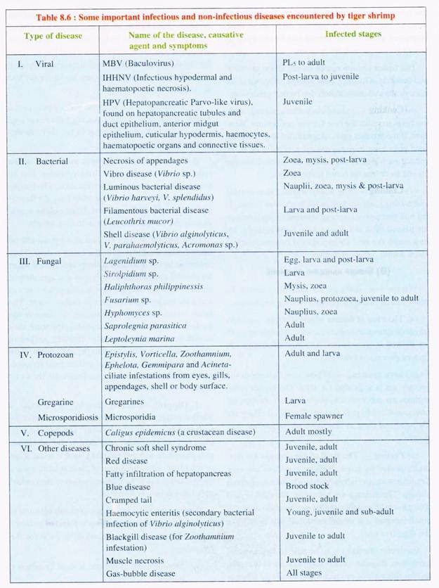 Important Infectious and Non-Infectious Diseases