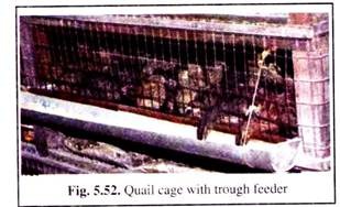 Quail Cage with Trough Feeder
