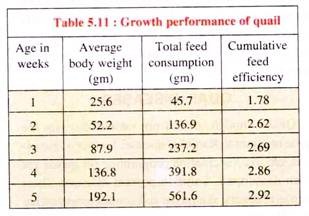 Growth Performance of Quail