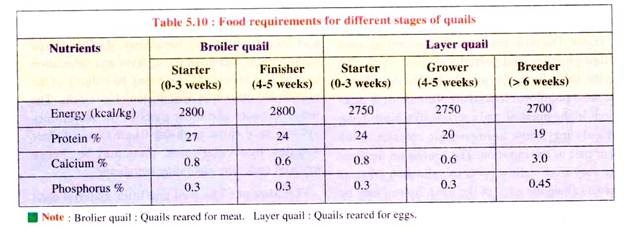 Food Requirements for Different Stages of Quails