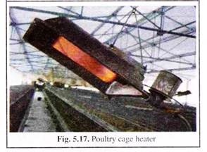 Poultry Cage Heater