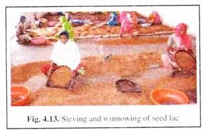 Sieving and Winnowing of Seed Lac