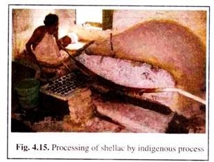 Processing of Shellae by Indigenous Process