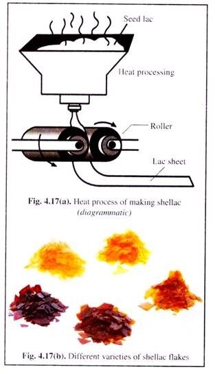 Heat Process and Different Varieties of Shellae Flakes