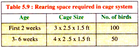Rearing Space Required in Cage System