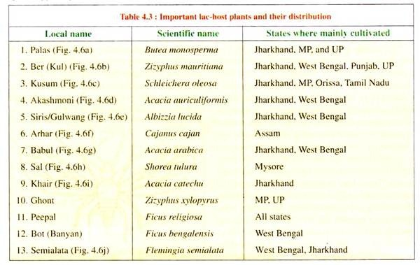 Important Lac-Host Plant and their Distribution