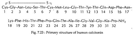 Primary Structure of Human Calcitonin