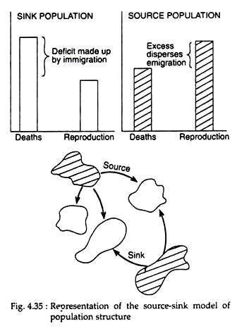 Representation of the Source-Sink Model