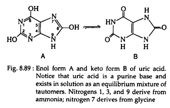 Enol Form A and Keto Form B of Uric Acid