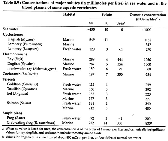 Concentrations of Major Solutes