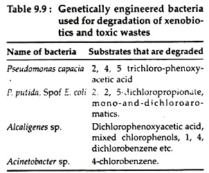 Genetically Engineered Bacteria
