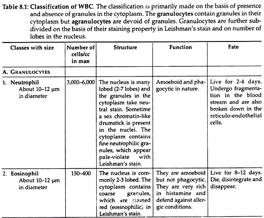 Classification of WBC