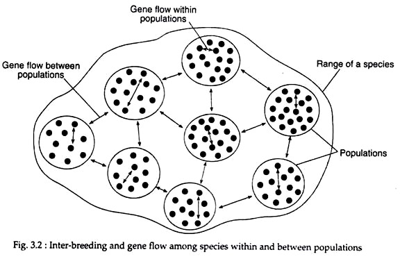 Inter-Breeding and Gene Flow