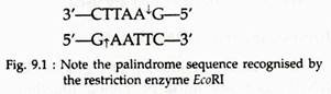 Palindrome Sequence