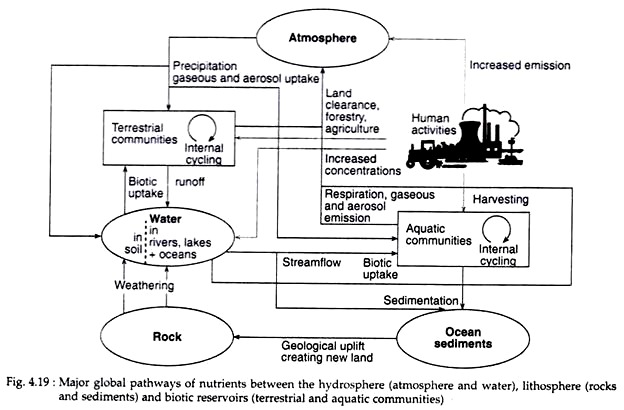 Major Global Pathways of nutrients between the hydrophere, lithosphere and biotic reservoris